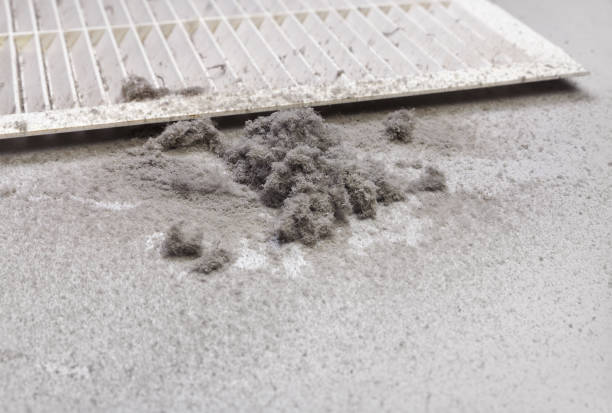 Best Local Air Duct Cleaning Services  in Williamson, AZ
