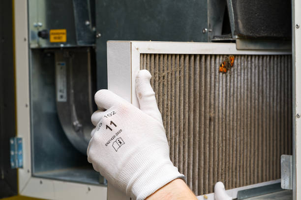 Best Air Duct Cleaning Near Me  in Williamson, AZ
