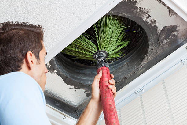 Best Residential Air Duct Cleaning  in Williamson, AZ